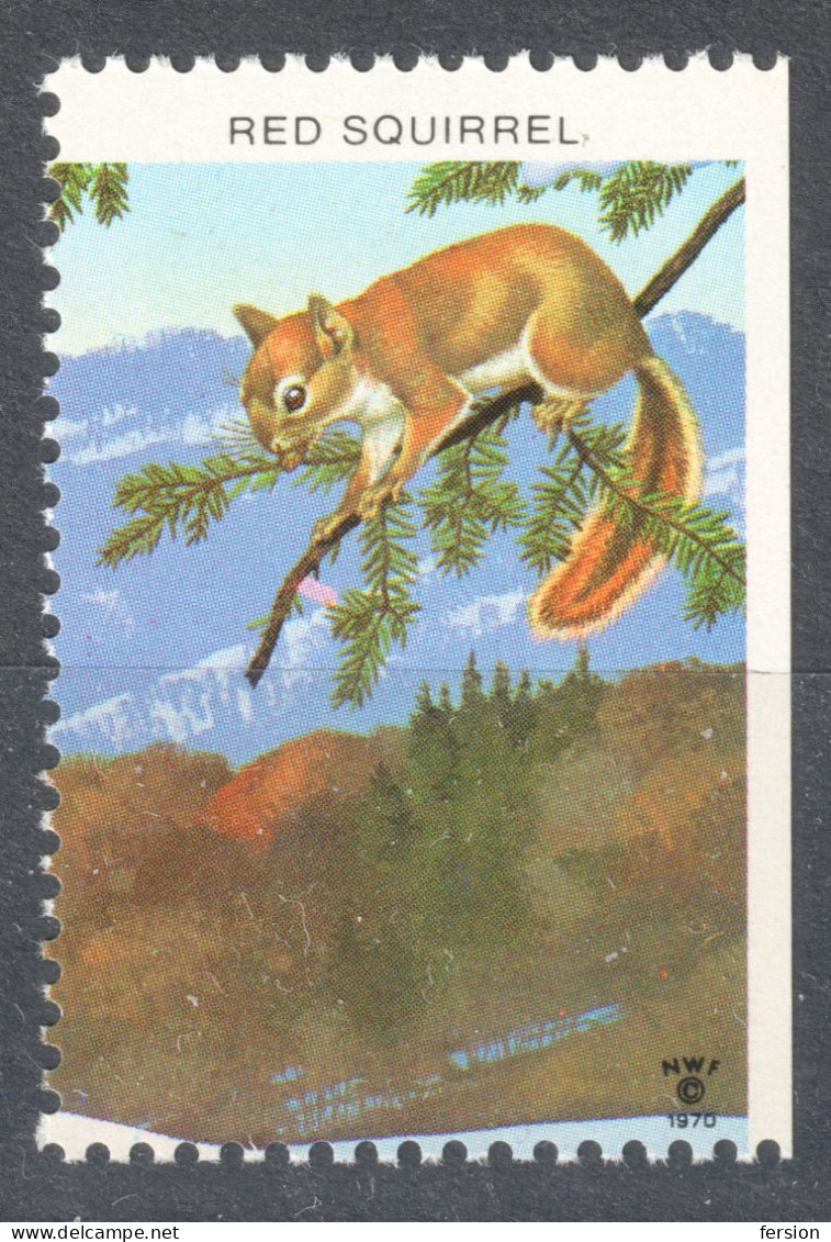 SQUIRREL - Pine Tree Wood Forest / National Wildlife Federation NWF Christmas 1970 USA LABEL CINDERELLA VIGNETTE - Rodents