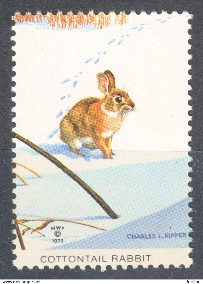 RABBIT Snow / National Wildlife Federation NWF Christmas 1970 USA LABEL CINDERELLA VIGNETTE - Conejos