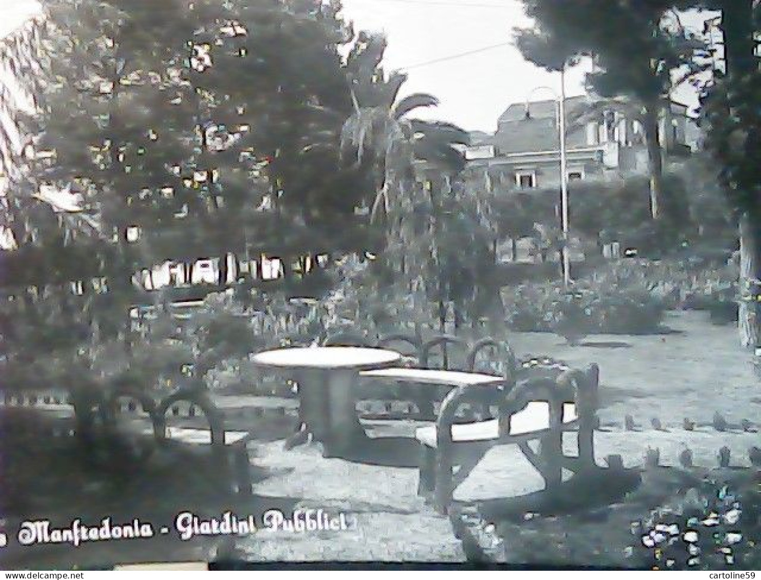 MANFREDONIA ( FOGGIA ) GIARDINI PUBBLICI VB1962 JT6183 - Manfredonia