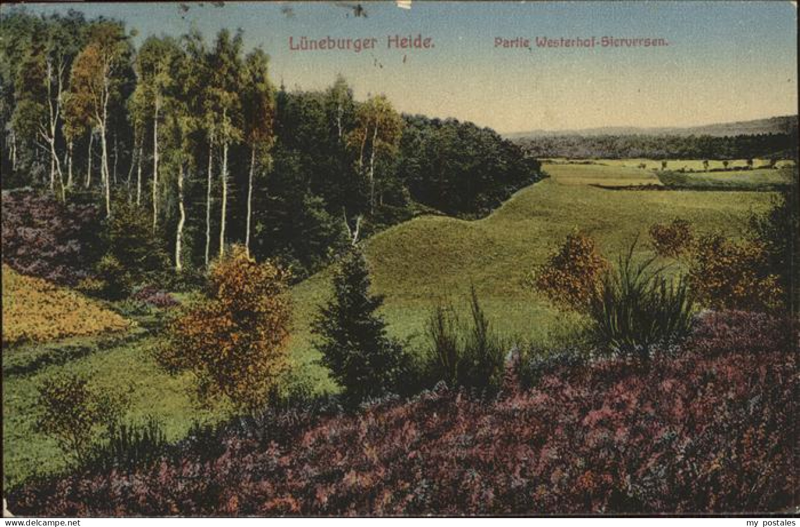 41325275 Lueneburger Heide Partie Westerhof Sierversen Lueneburger Heide - Walsrode