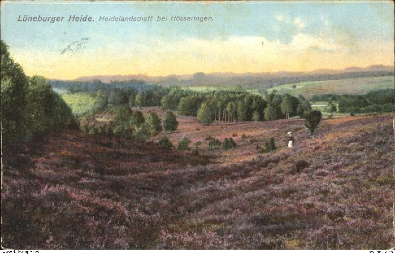 41325270 Lueneburger Heide Heidelandschaft Bei Hoesseringen Lueneburger Heide - Walsrode