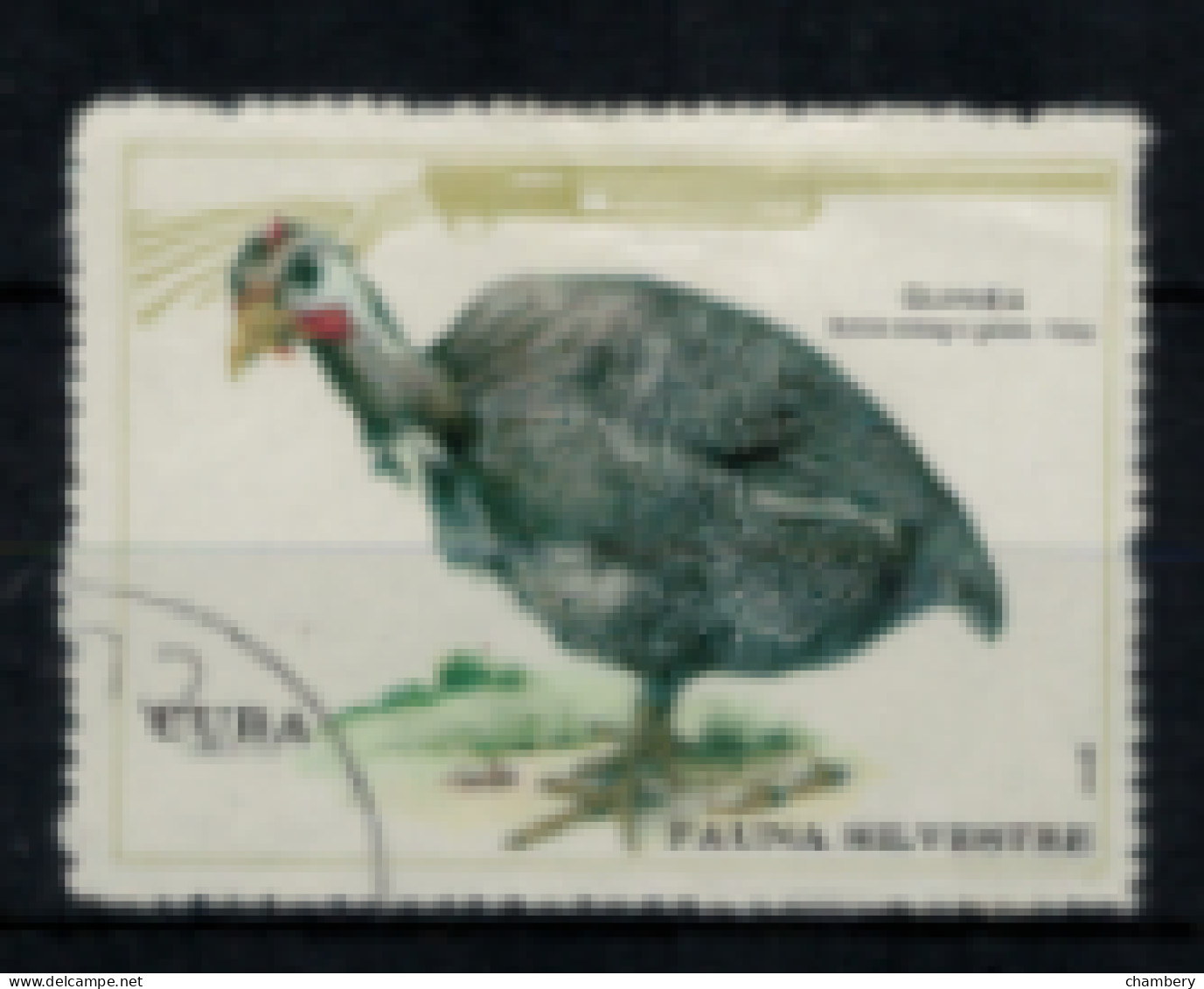 Cuba - "Faune Sylvestre : Pintade" - Oblitéré N° 1435 De 1970 - Used Stamps