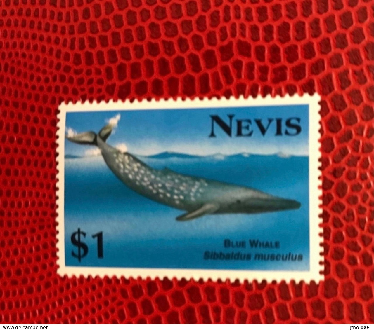 CHRISTOPHE NIEVES NEVIS 1993 1v Neuf MNH ** Mi Whale Marine Life Pez Fish Peixe Fisch Pesce Poisson - Ballenas