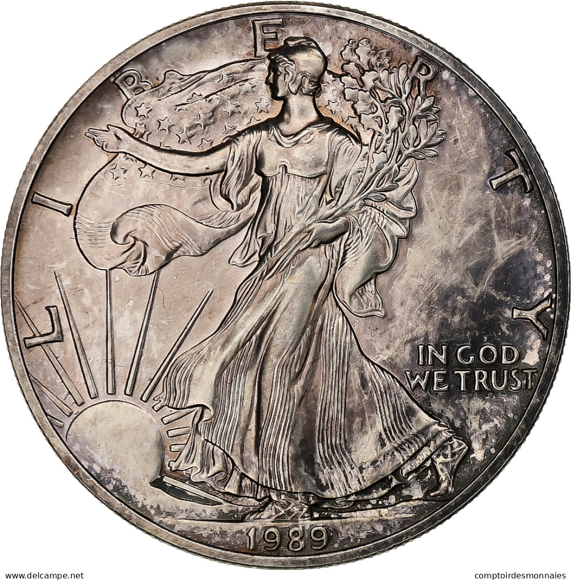États-Unis, 1 Dollar, 1 Oz, Silver Eagle, 1989, Philadelphie, Bullion, Argent - Silber