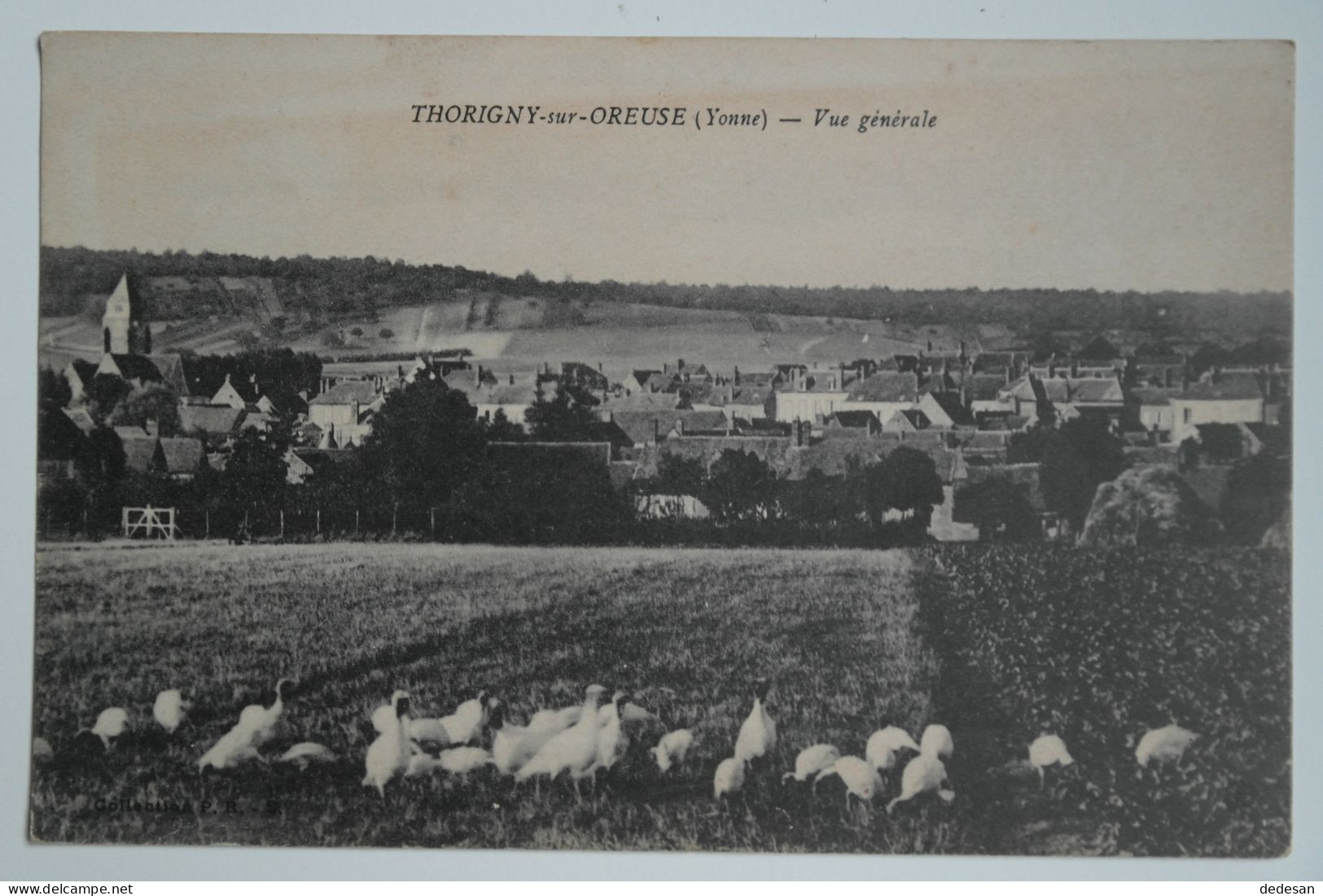 Cpa 1917 Yonne THORIGNY Sur OREUSE Vue Générale - NOV53 - Haubourdin