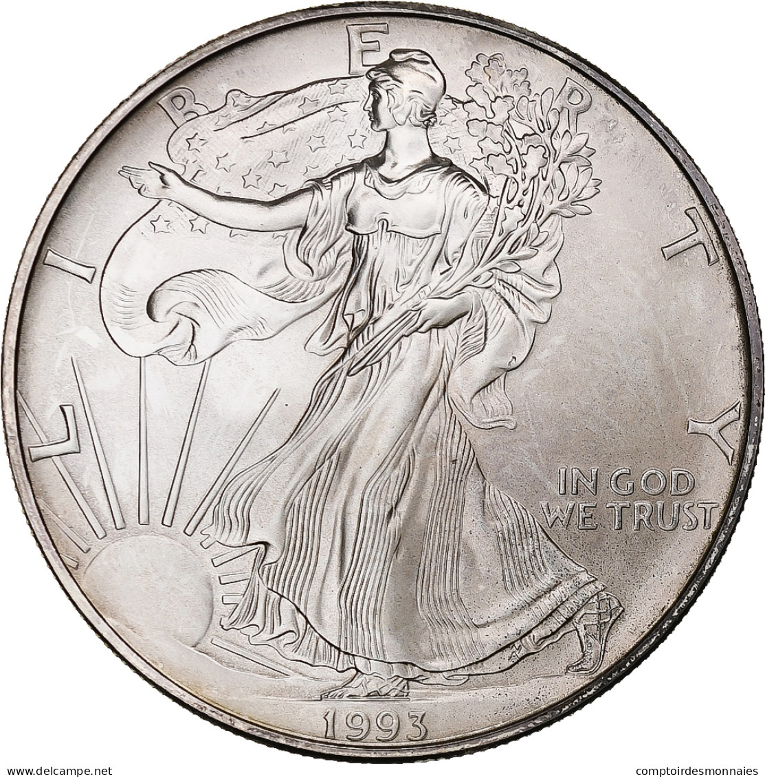 États-Unis, Dollar, 1993, Philadelphie, 1 Oz, Argent, SPL, KM:273 - Plata