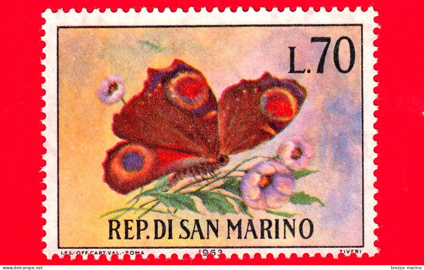 Nuovo - SAN MARINO - 1963 - Farfalle - Nymphalis  - 70 - Neufs