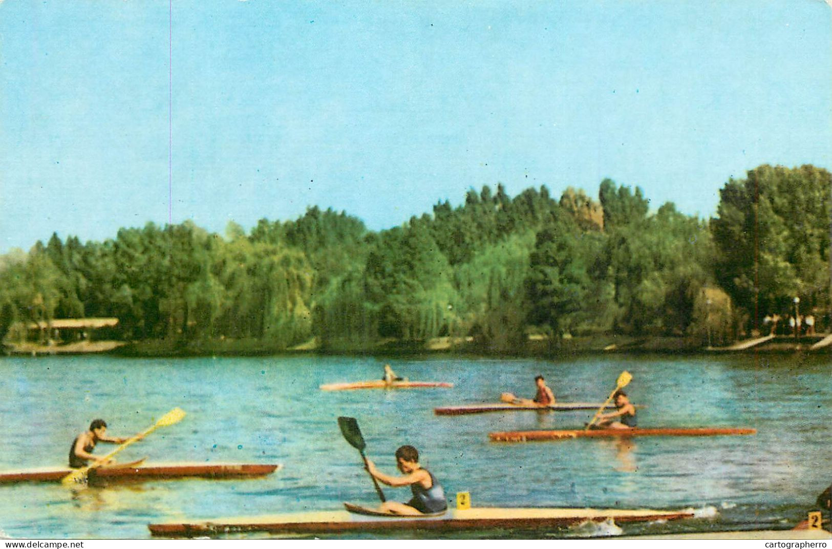 Maximafilie Postcard Canoe Rowing Contest - Canottaggio