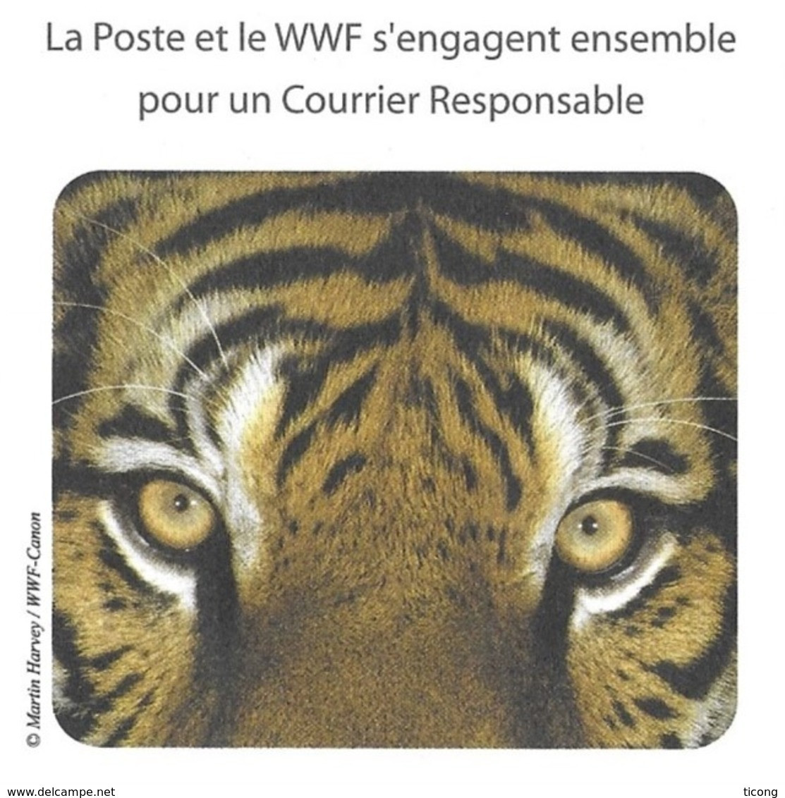 WWF PAP ENTIER POSTAL TIGRE, PANDA FLAMME LA POSTE 2011, VOIR LES SCANNERS - Briefe U. Dokumente