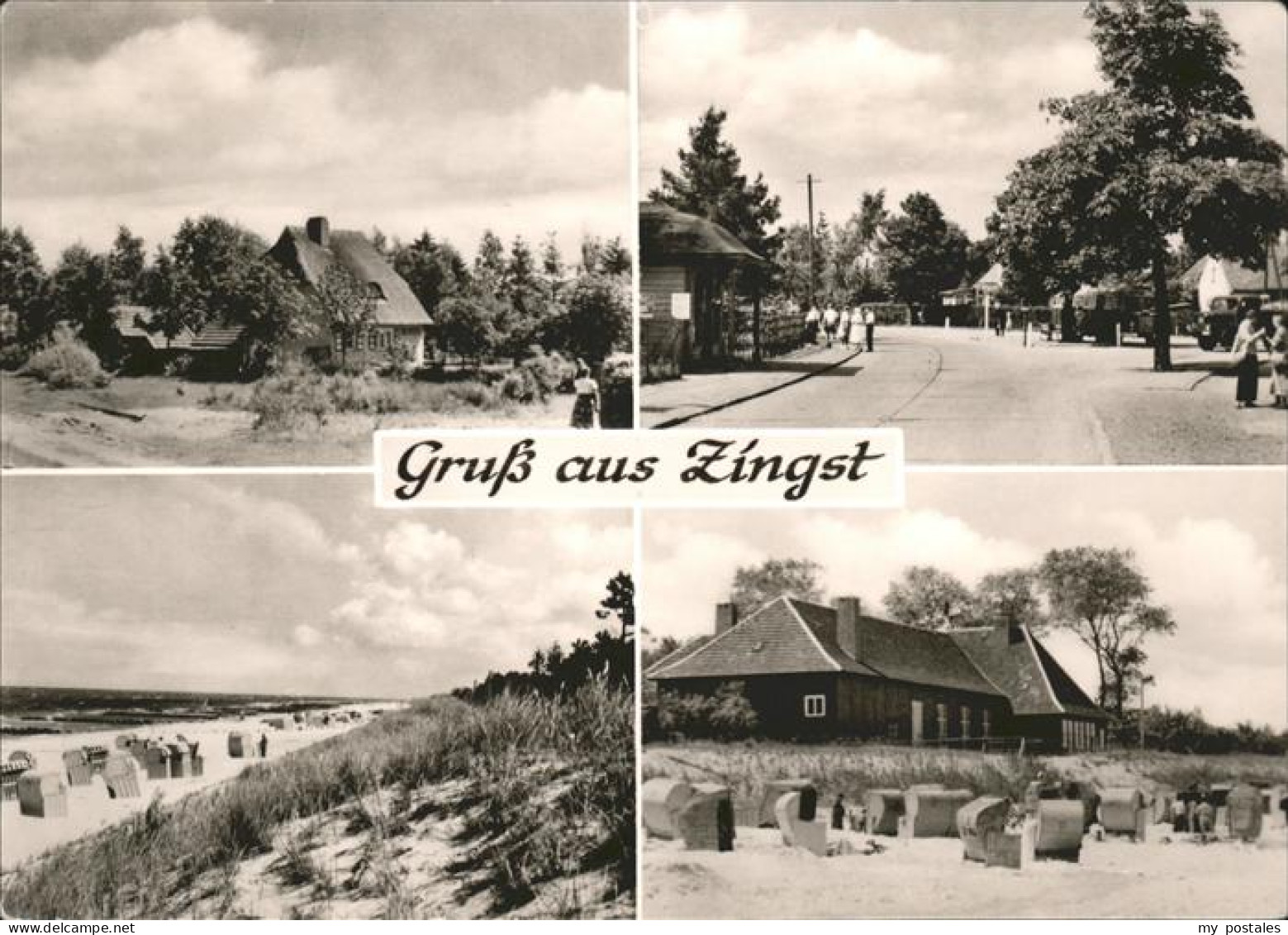 41535347 Zingst Ostseebad Strassenpartie Ferienhaus Strand Ostseebad Zingst - Zingst