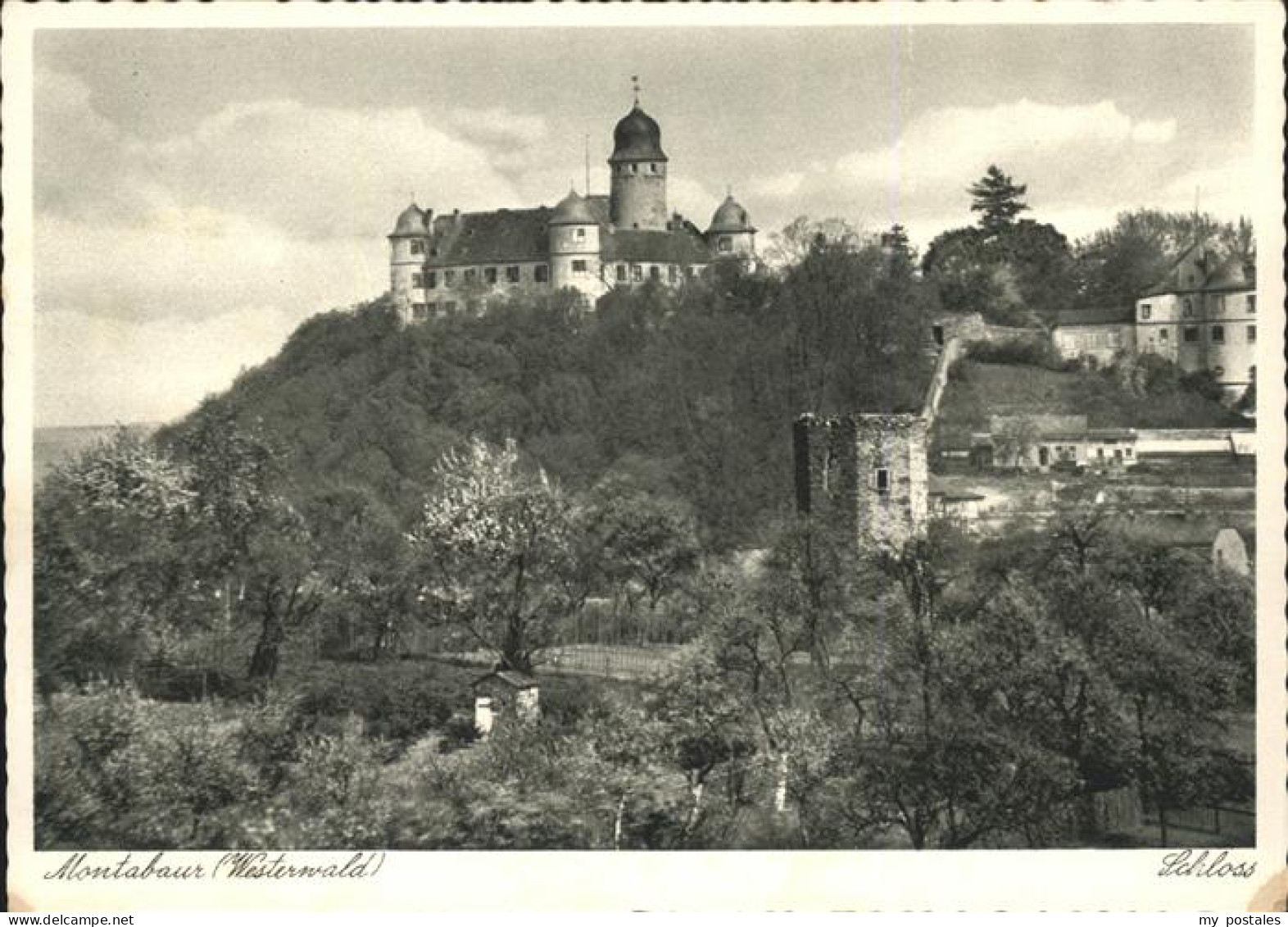 41535207 Montabaur Westerwald Schloss Ruine Montabaur - Montabaur