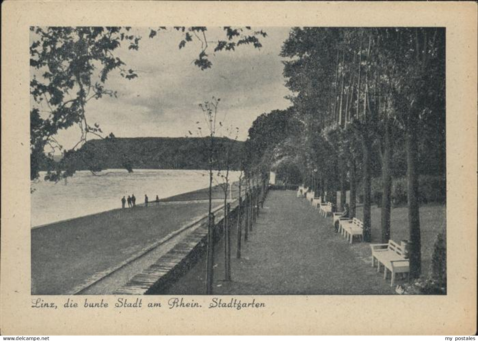 41535191 Linz Rhein Stadtgarten Die Bunte Stadt Am Rhein Linz - Linz A. Rhein