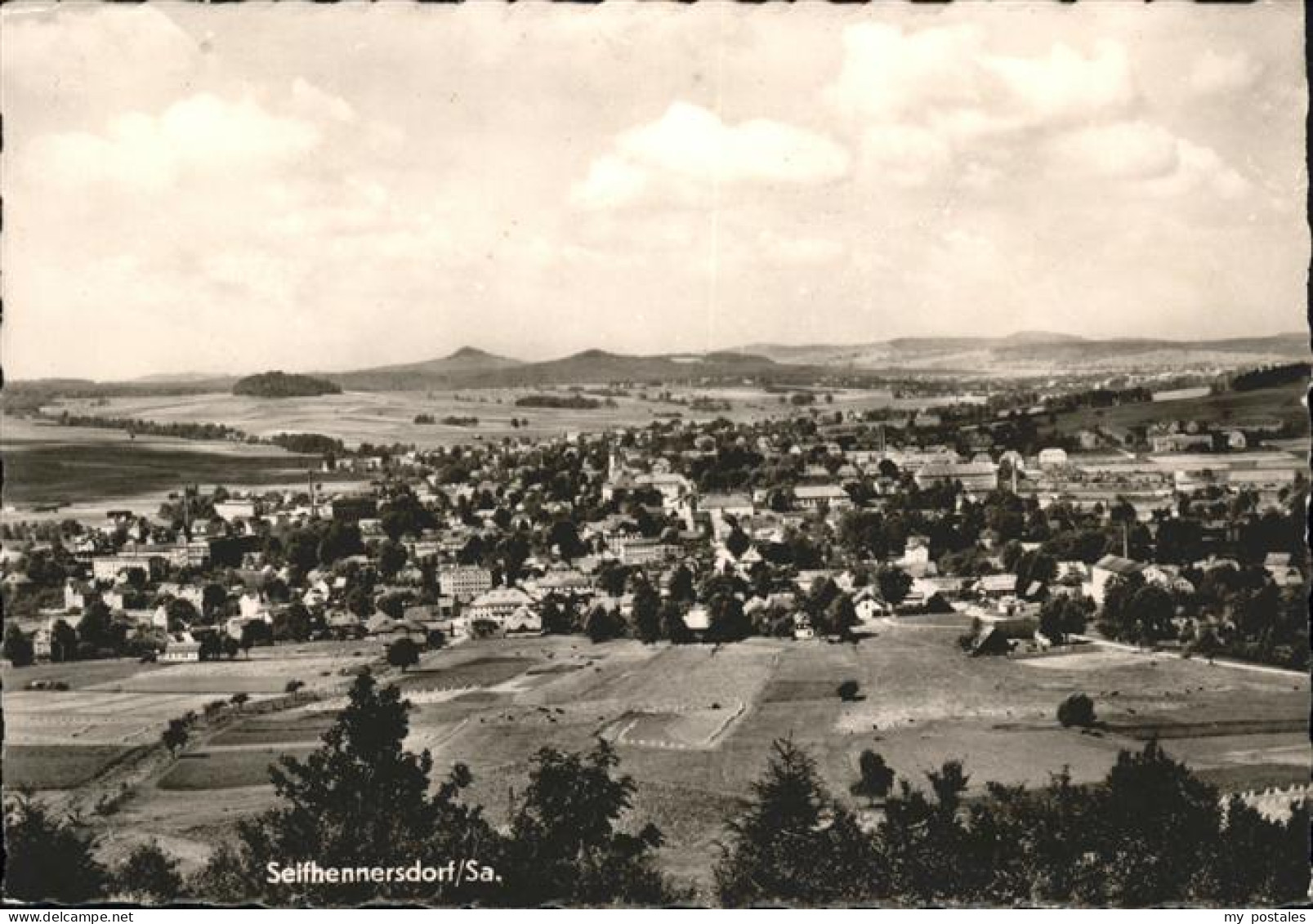 41534752 Seifhennersdorf Panorama Seifhennersdorf - Seifhennersdorf