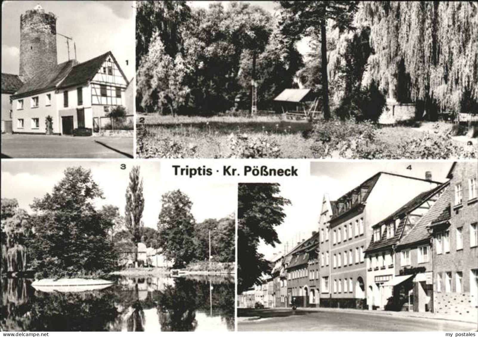 41534464 Triptis Schlossturm Park Schlossteich Ernst Thaelmann Str Triptis - Triptis