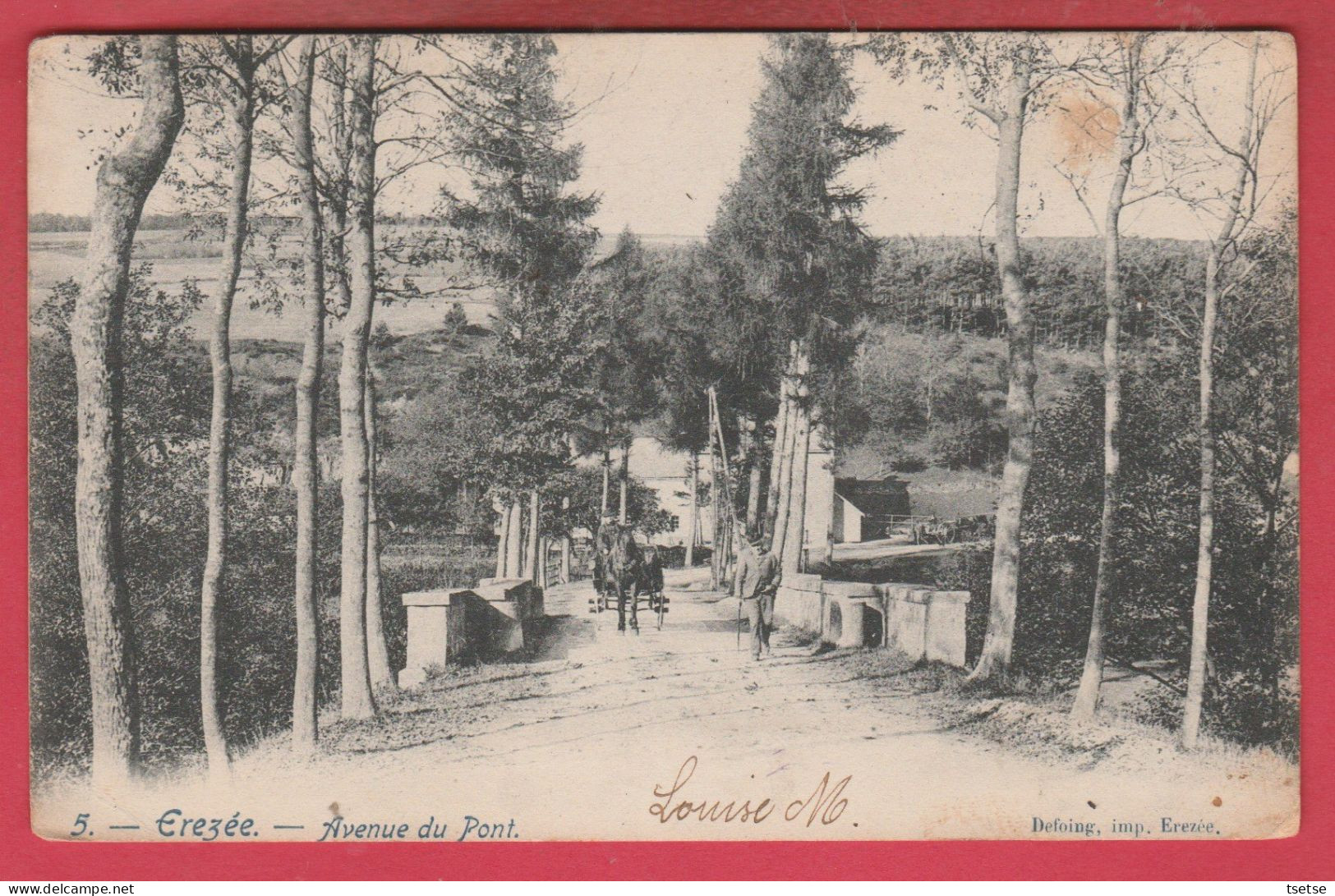 Erezée - Avenue Du Pont ... Attelage - 1905 ( Voir Verso ) - Erezee