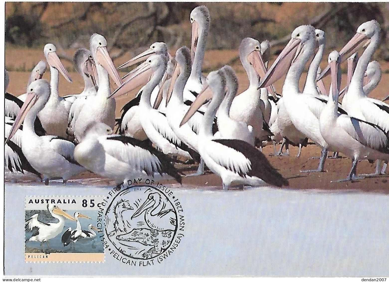 Australia - Maximum Card And Postal Stationery 1994 :     Australian Pelican - Pelecanus Conspicillatus - Pélicans