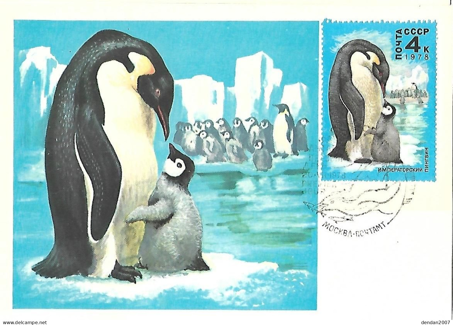 Russia CCCP - Maximum Card 1978 :  Emperor Penguin  -  Aptenodytes Forsteri	 (chicks) - Pinguïns & Vetganzen