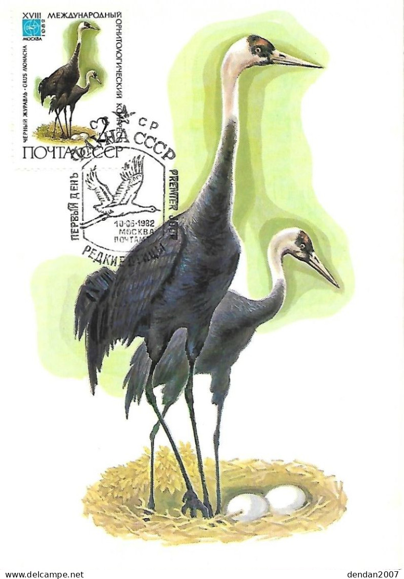 Russia CCCP - Maximum Card 1982 : Hooded Crane  -  Grus Monacha - Cranes And Other Gruiformes