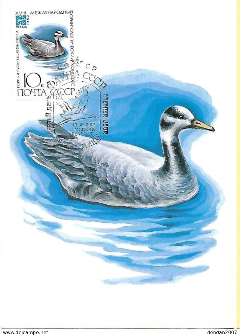 Russia CCCP - Maximum Card 1982 :   Bar-headed Goose -   Anser Indicus - Geese