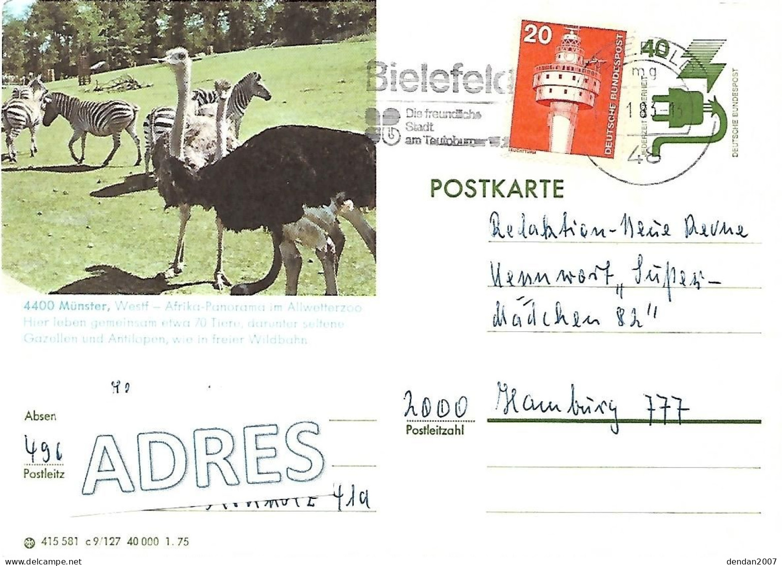 West Germany - Used Postal Stationery 1975 : Münster : Afrika Panorama :  Common Ostrich  -  Struthio Camelus + Zebra - Struzzi