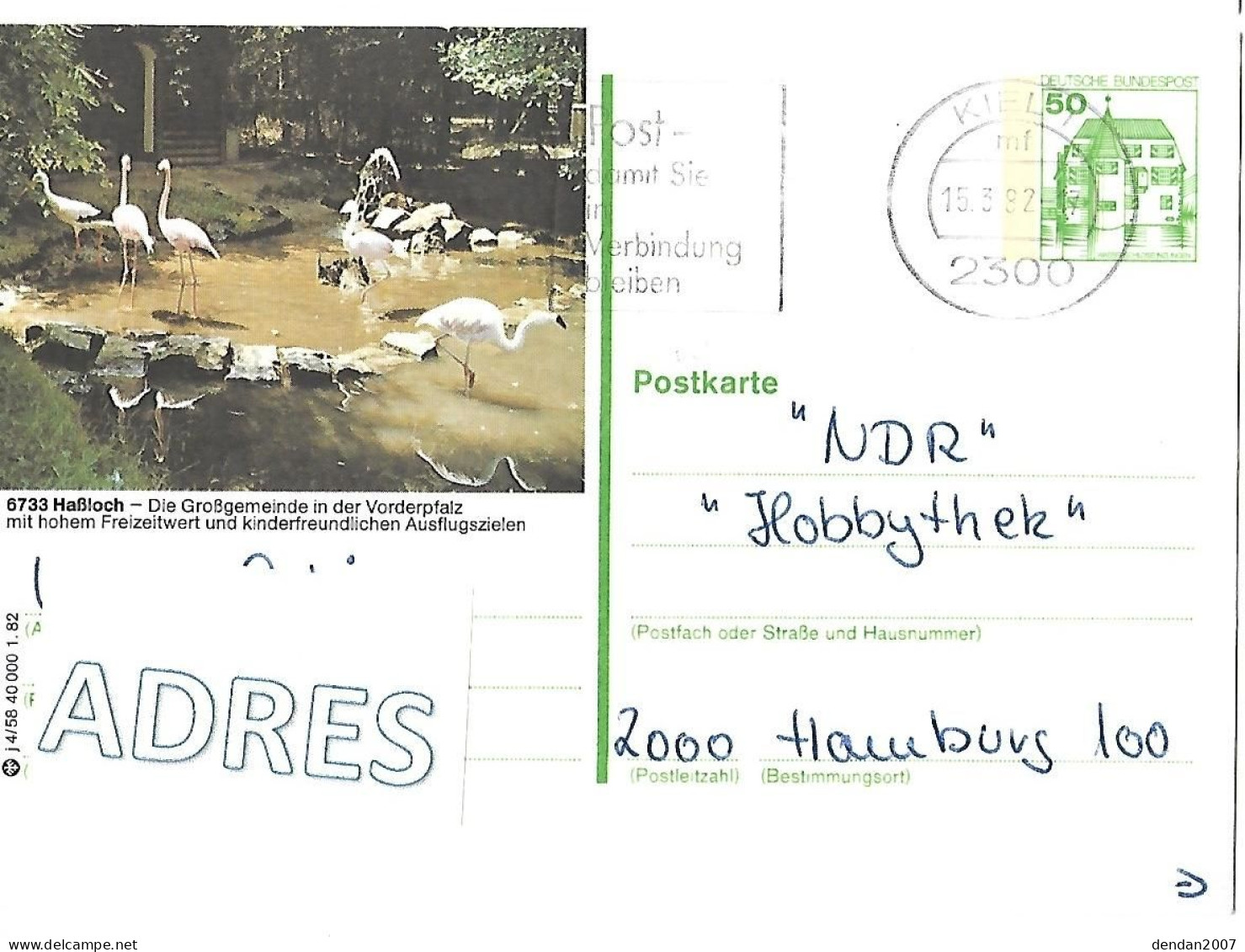 West Germany - Used Postal Stationery 1982 : Hassloch : Flamingo's + Stork - Flamants