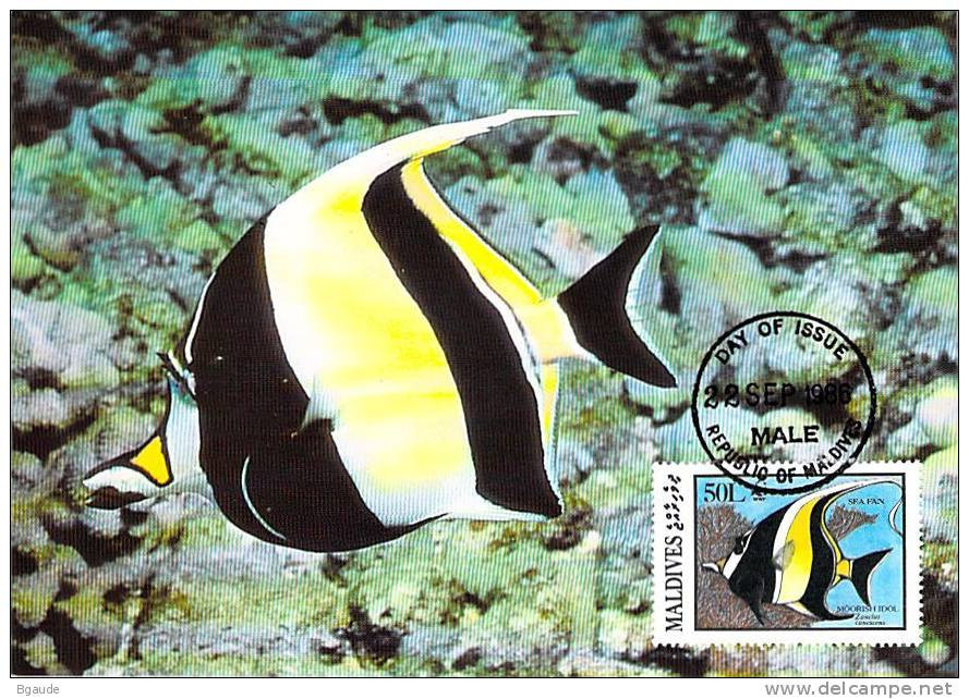 MALDIVE  WWF CARTE MAXIMUM NUM.YVERT  1077   PROTECTION DE LA NATURE  POISSON FAUNE MARINE - Maximumkaarten