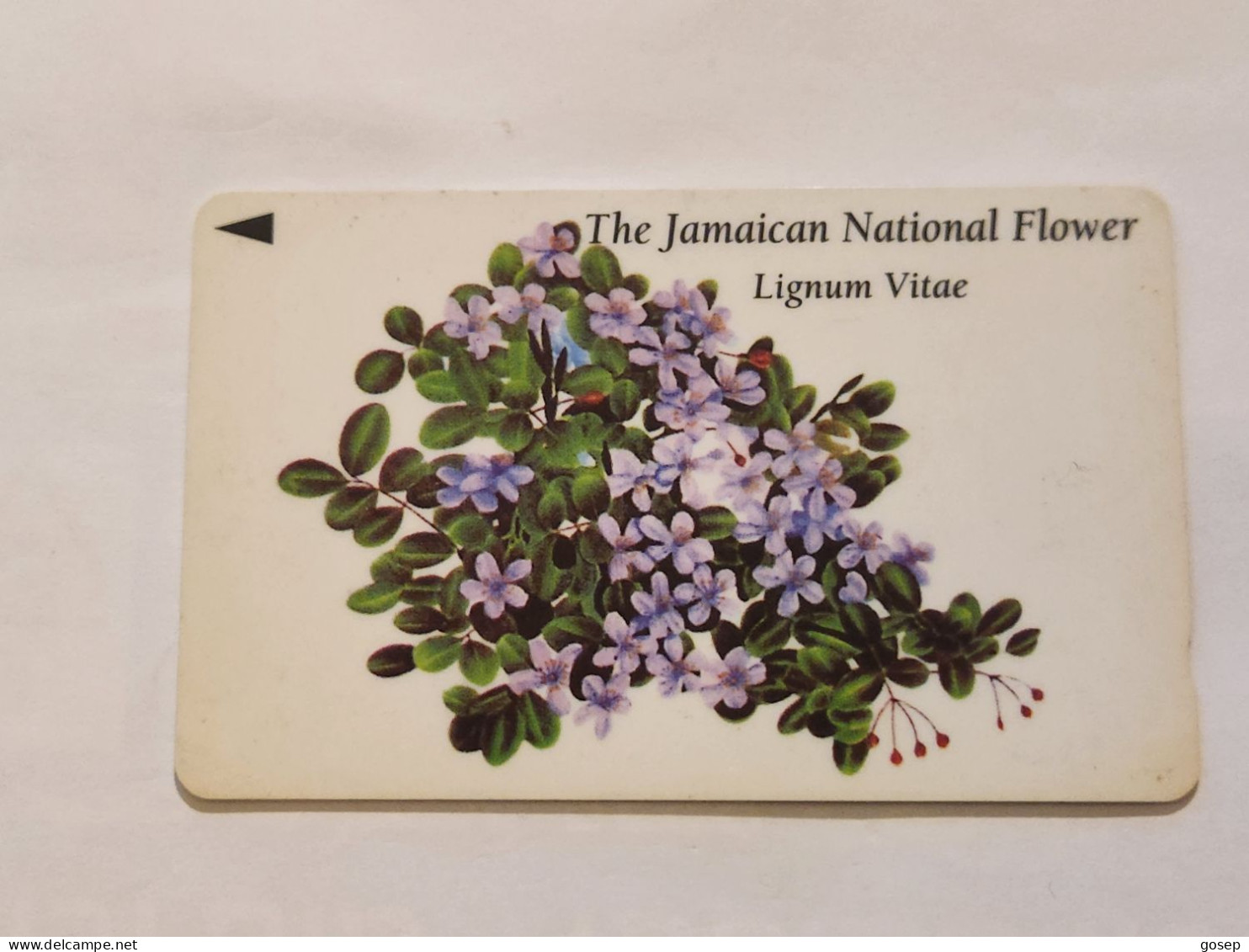 JAMAICA-(83JAMA-(0)-JAM-83A-(0)-Lignum Vitae-(42)-(83JAMA017305)-(J$20)-used Card+1card Prepiad - Jamaïque