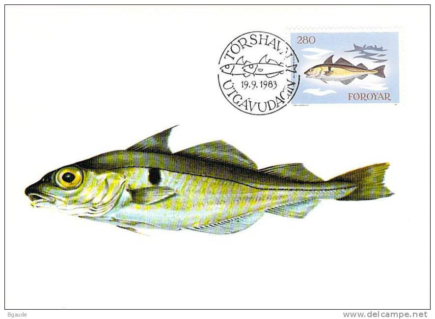 FEROE CARTE MAXIMUM NUM.YVERT 81 FAUNE MARINE POISSON - Färöer Inseln