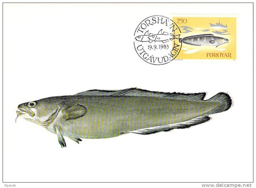 FEROE CARTE MAXIMUM NUM.YVERT 80 FAUNE MARINE POISSON - Färöer Inseln