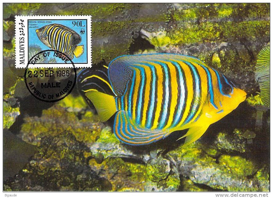 MALDIVE  WWF CARTE MAXIMUM NUM.YVERT  1078   PROTECTION DE LA NATURE  POISSON FAUNE MARINE - Tarjetas – Máxima