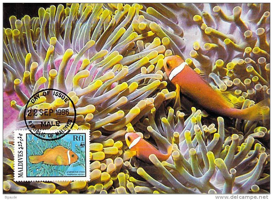 MALDIVE  WWF CARTE MAXIMUM NUM.YVERT  1079   PROTECTION DE LA NATURE  POISSON FAUNE MARINE - Maximum Cards