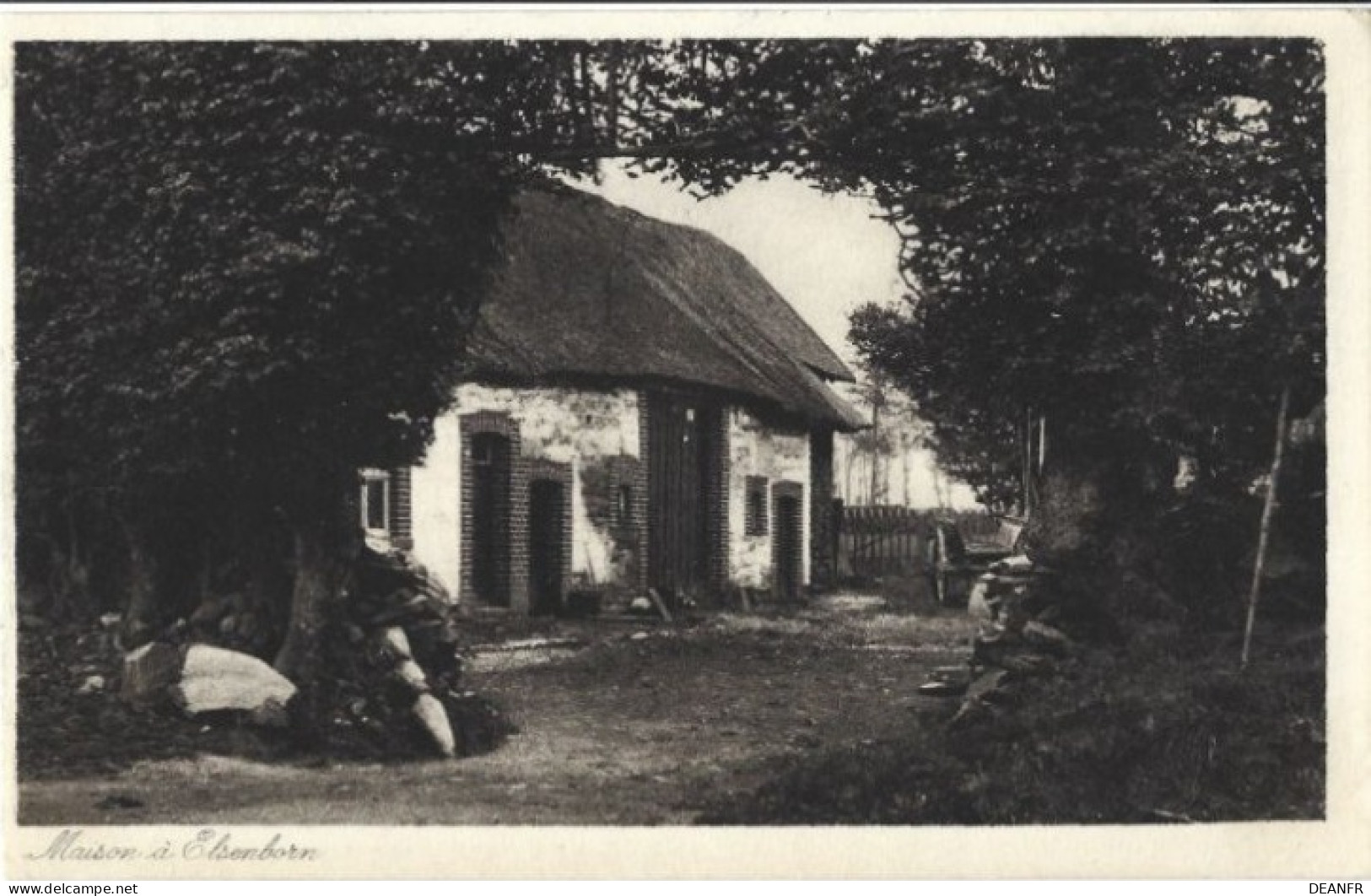 ELSENBORN : Maison à Elsenborn. - Butgenbach - Buetgenbach
