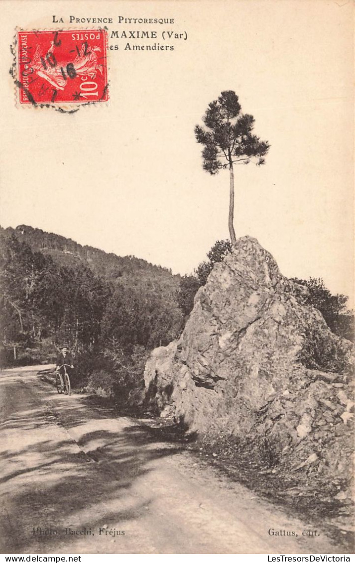 COUPLE - Sainte Maxime (Var) - Amendiers - Oblitération Ambulante - Carte Postale Ancienne - Sainte-Maxime