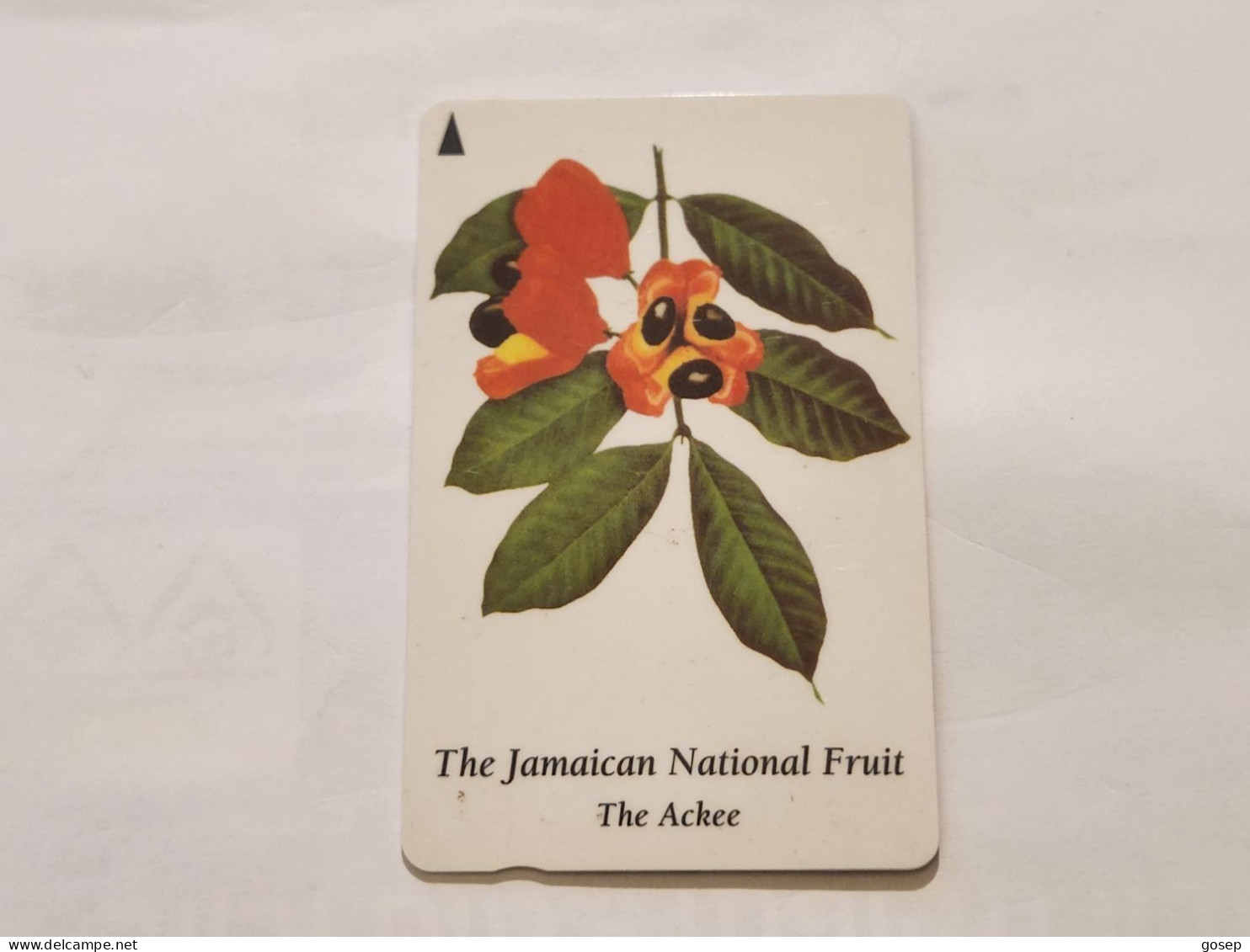 JAMAICA-(120JAMA-(0)-JAM-120A-(0)-The Ackee-(46)-(120JAMA191392)-(J$50)-used Card+1card Prepiad - Jamaica