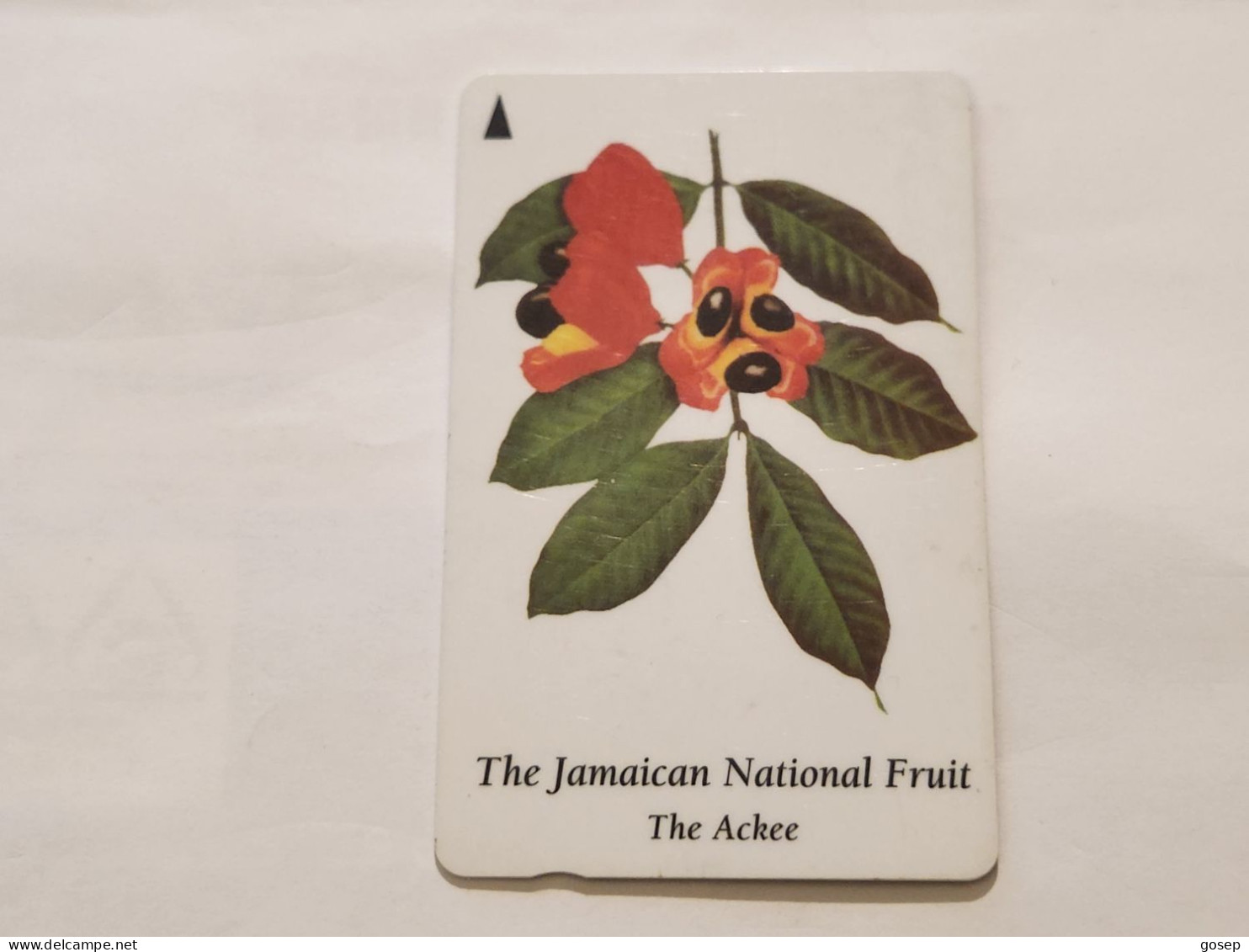 JAMAICA-(120JAMA-(Ø)-JAM-120A-(Ø)-The Ackee-(47)-(120JAMA066183)-(J$50)-used Card+1card Prepiad - Jamaica