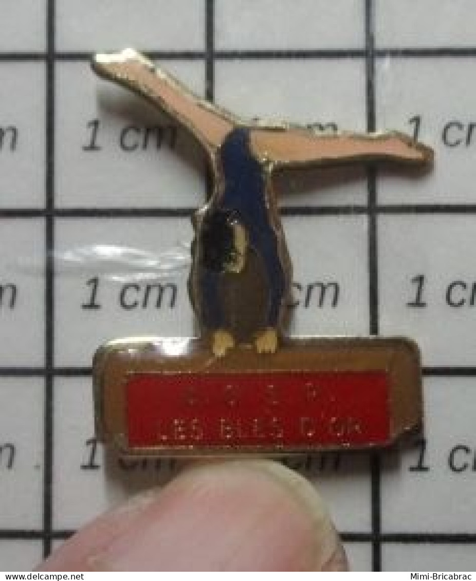 910B Pin's Pins / Beau Et Rare / SPORTS / GYMNASTIQUE CLUB ASSOCIATIONS LES BLES D'OR - Gymnastics