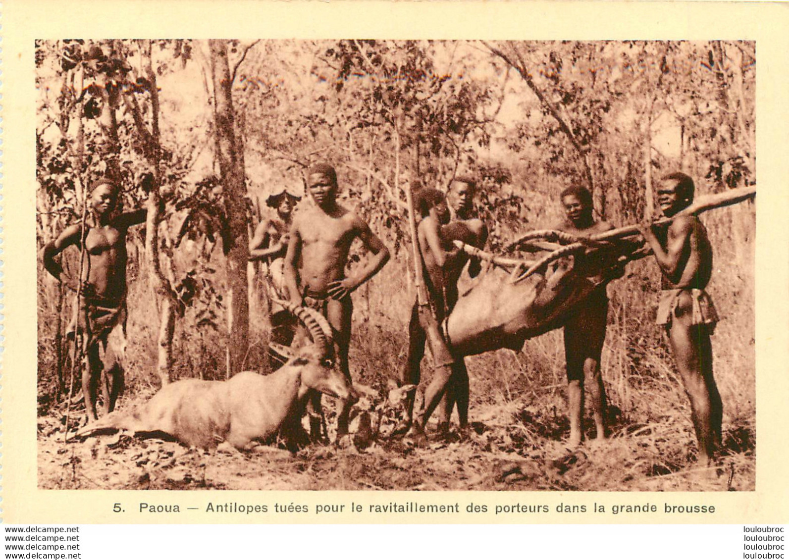 PAOUA ANTILOPES TUEES POUR LE RAVITAILLEMENT DES PORTEURS  Ref8 - Tchad