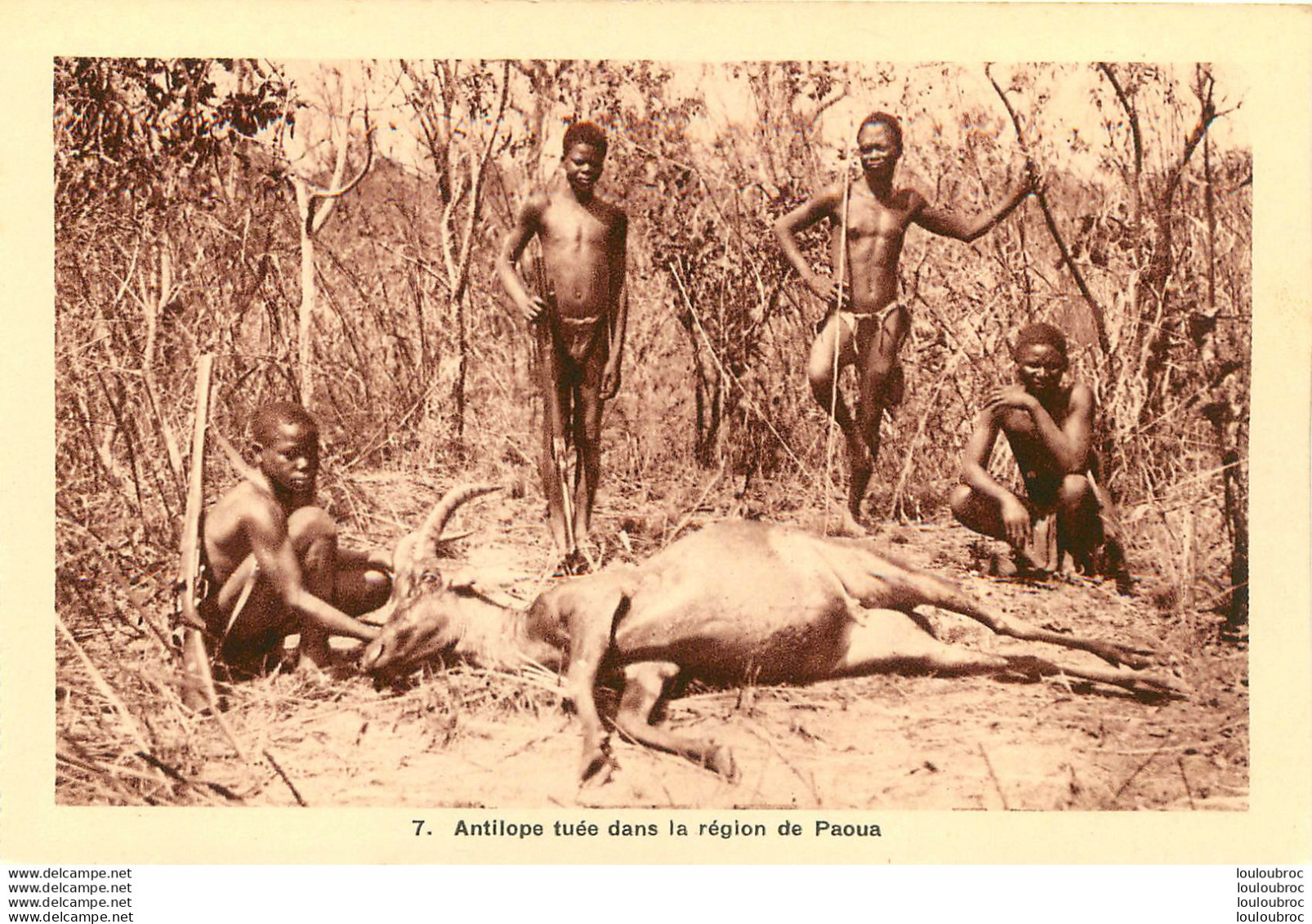 ANTILOPE TUEE DANS LA REGION DE PAOUA   Ref6 - Tchad