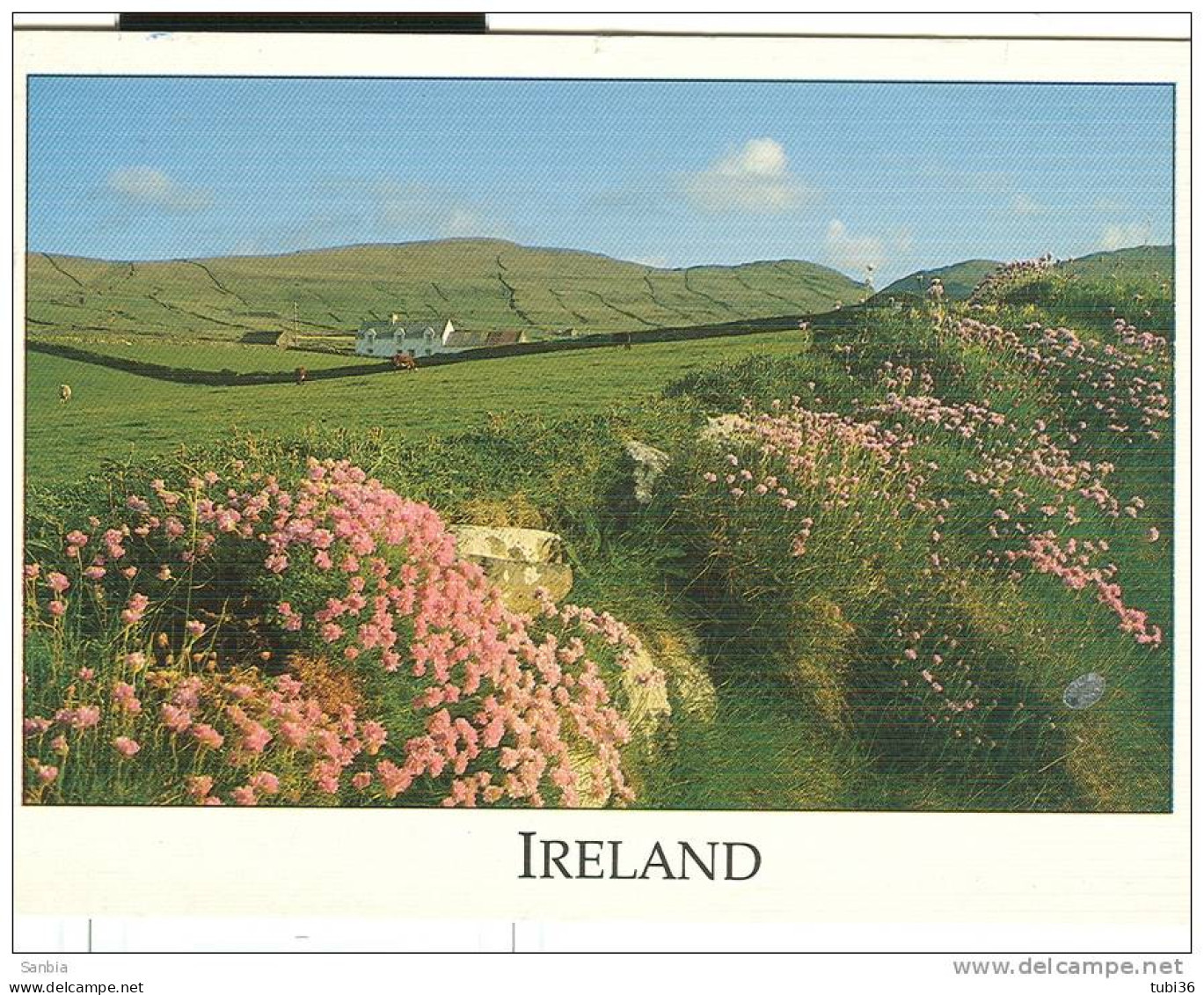 IRLANDA - POSTCARD, COLOR, USED, 1990, - Cork