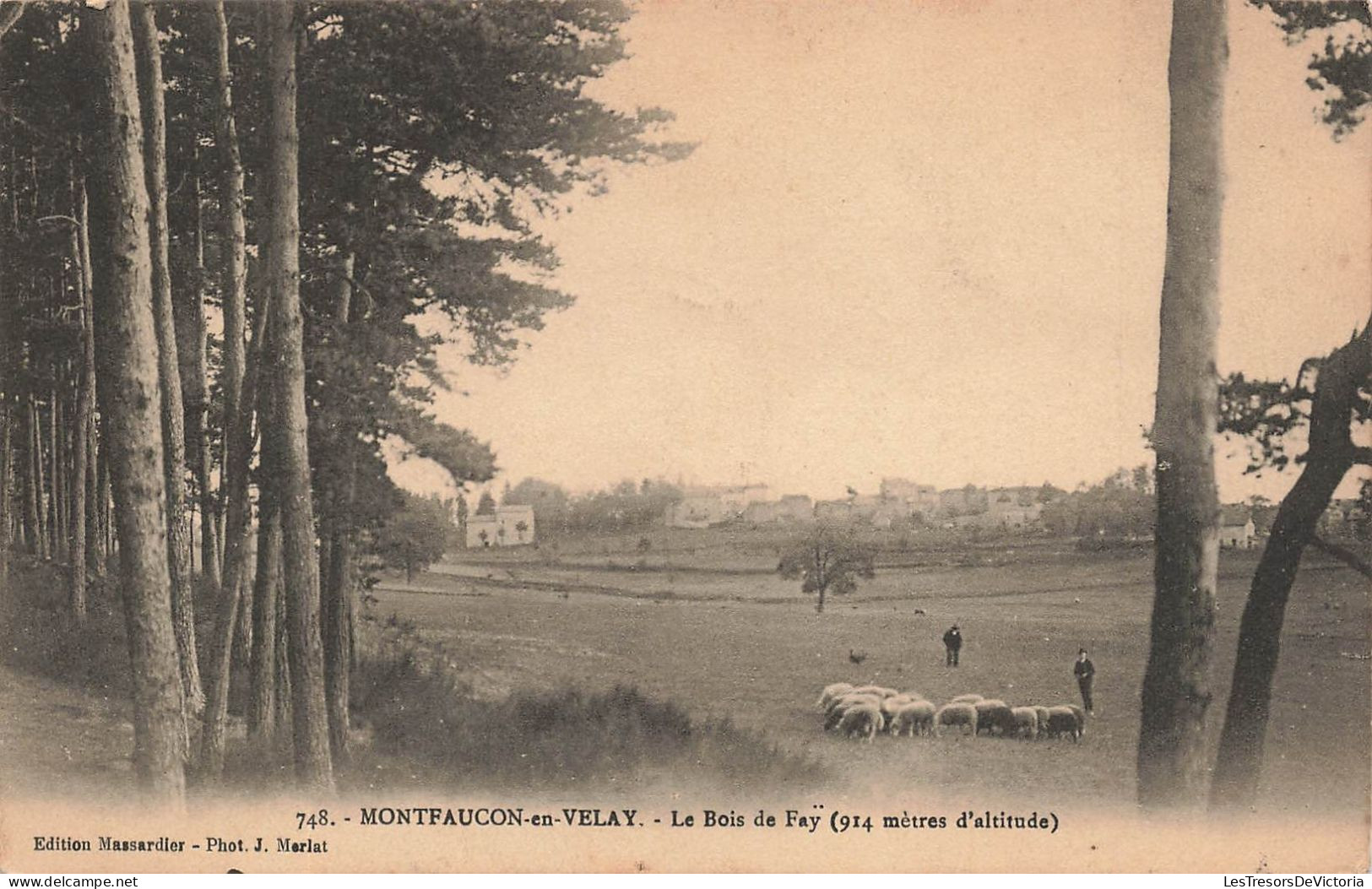 FRANCE - Montfaucon En Velay - Le Bois Fay - Troupeau De Moutons - Vue Générale - Carte Postale Ancienne - Montfaucon En Velay