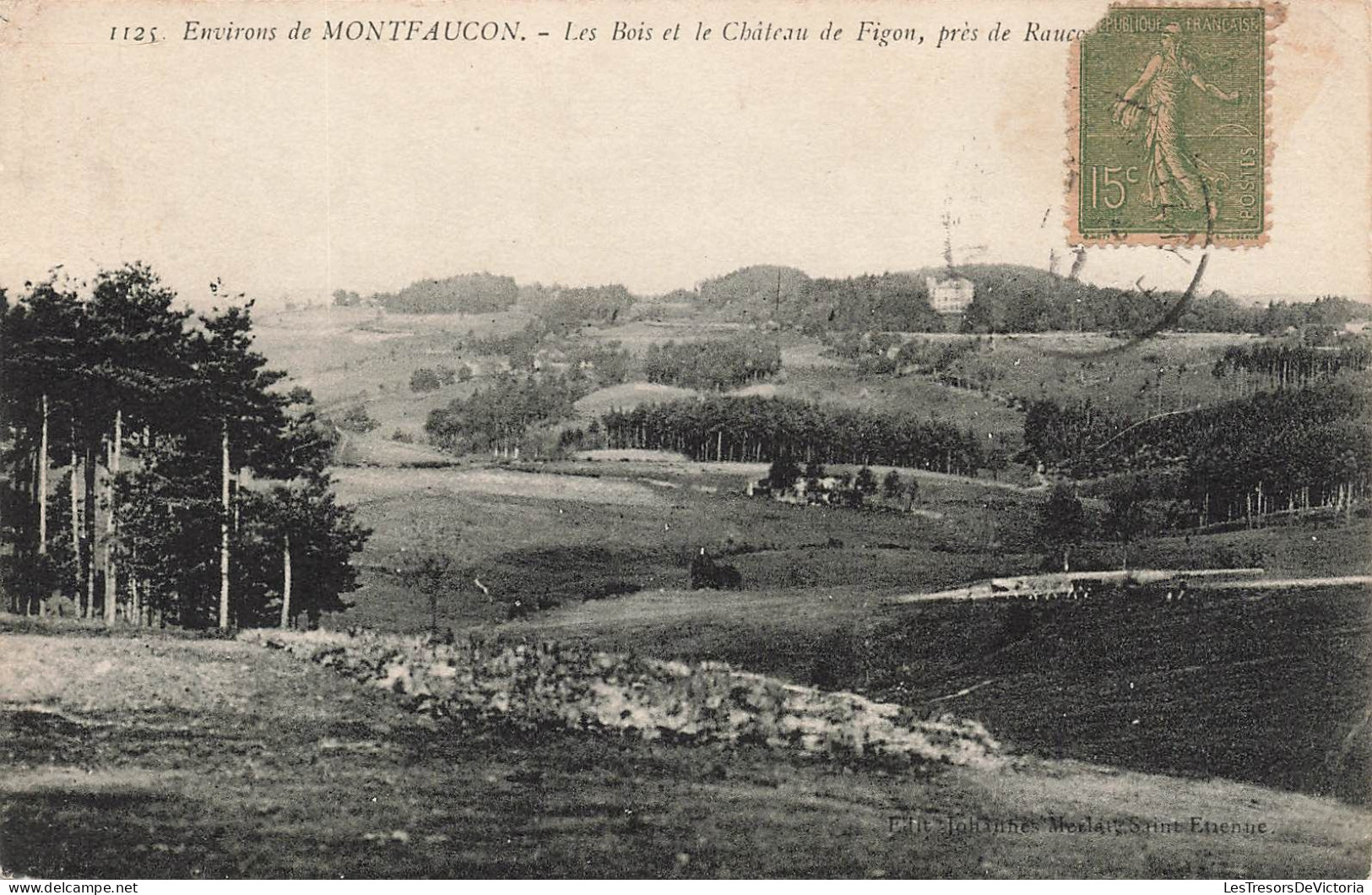 FRANCE - Environs De Montfaucon - Les Bois Et Le Château De Figon - Carte Postale Ancienne - Montfaucon En Velay