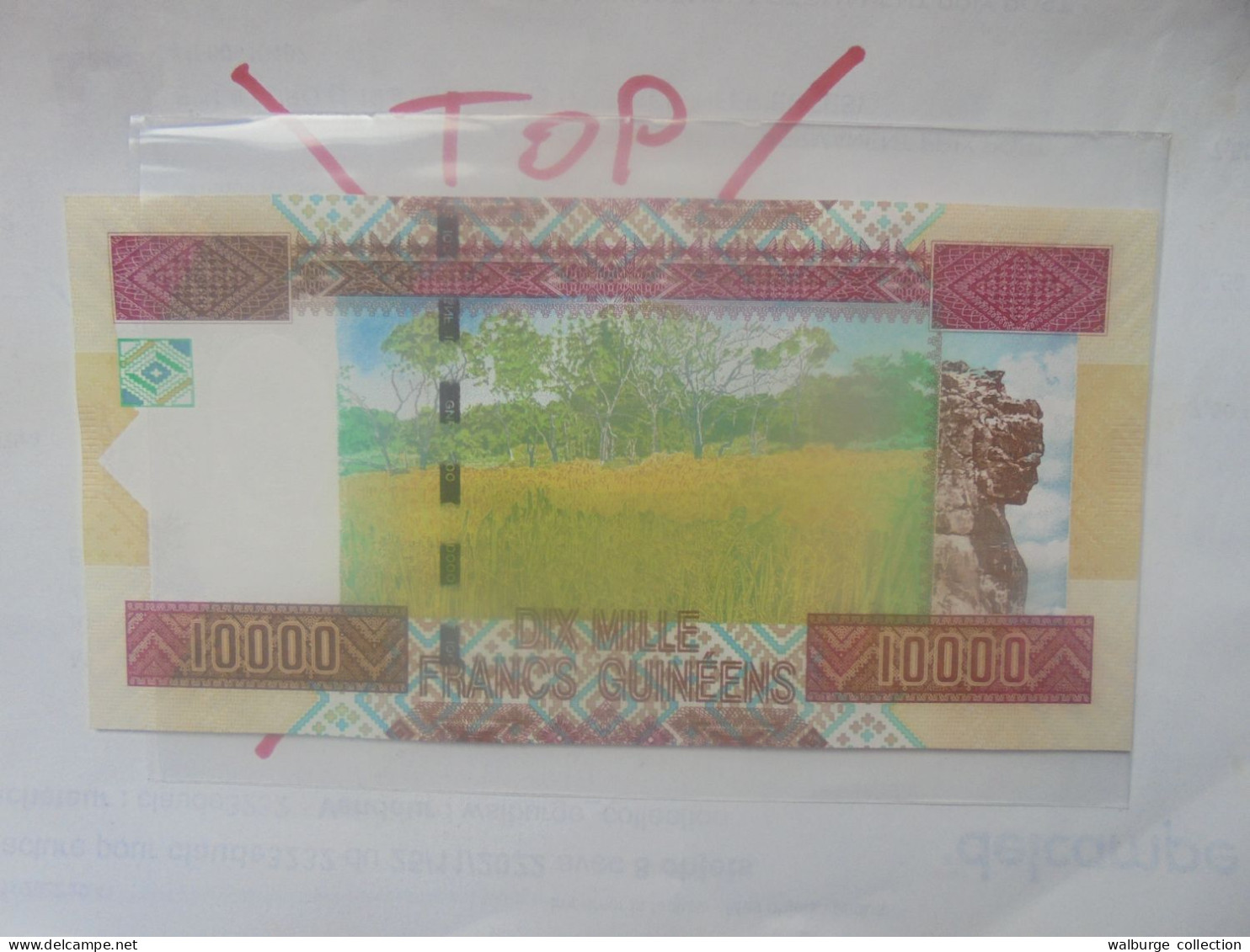 GUINEE 10.000 Francs 2012 Neuf (B.32) - Guinee