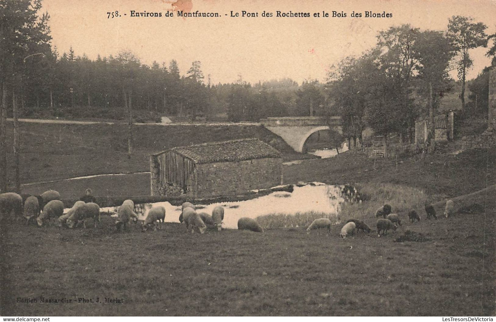 FRANCE - Environs De Montfaucon - Le Pont Des Rochettes Et Le Bois Des Blondes - Carte Postale Ancienne - Montfaucon En Velay