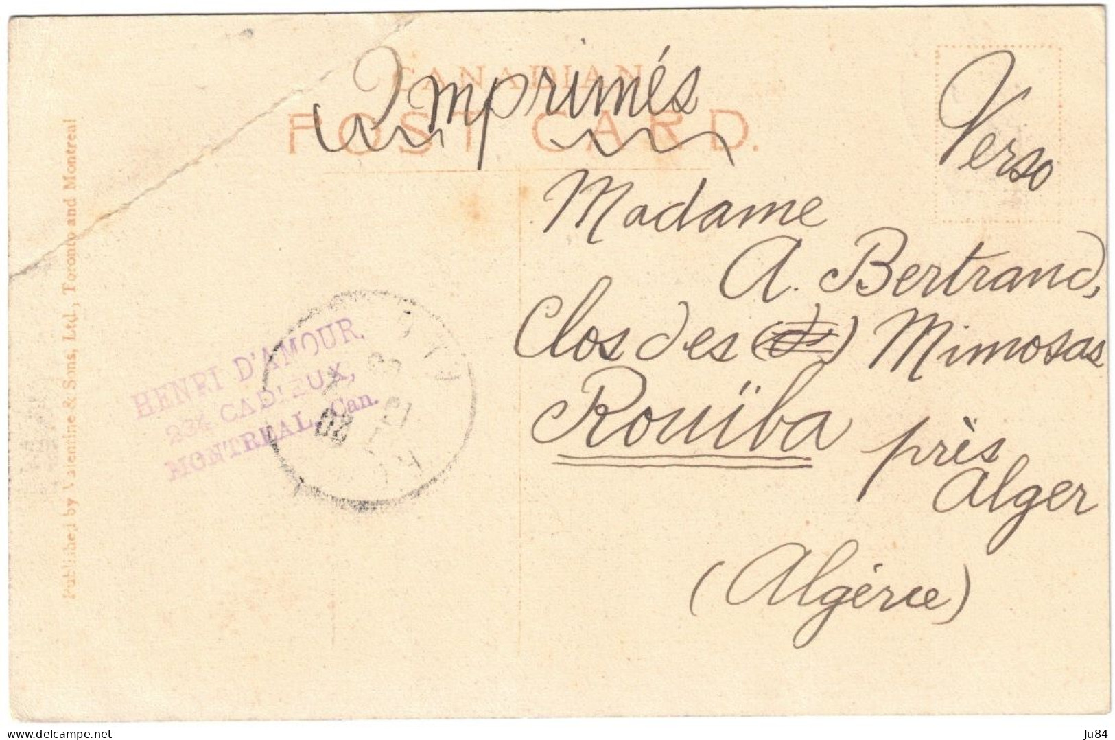 Canada - Québec - Montreal - Westmount Park - Carte Postale Pour Rouïba (Algérie) - 24 Novembre 1905 - Covers & Documents