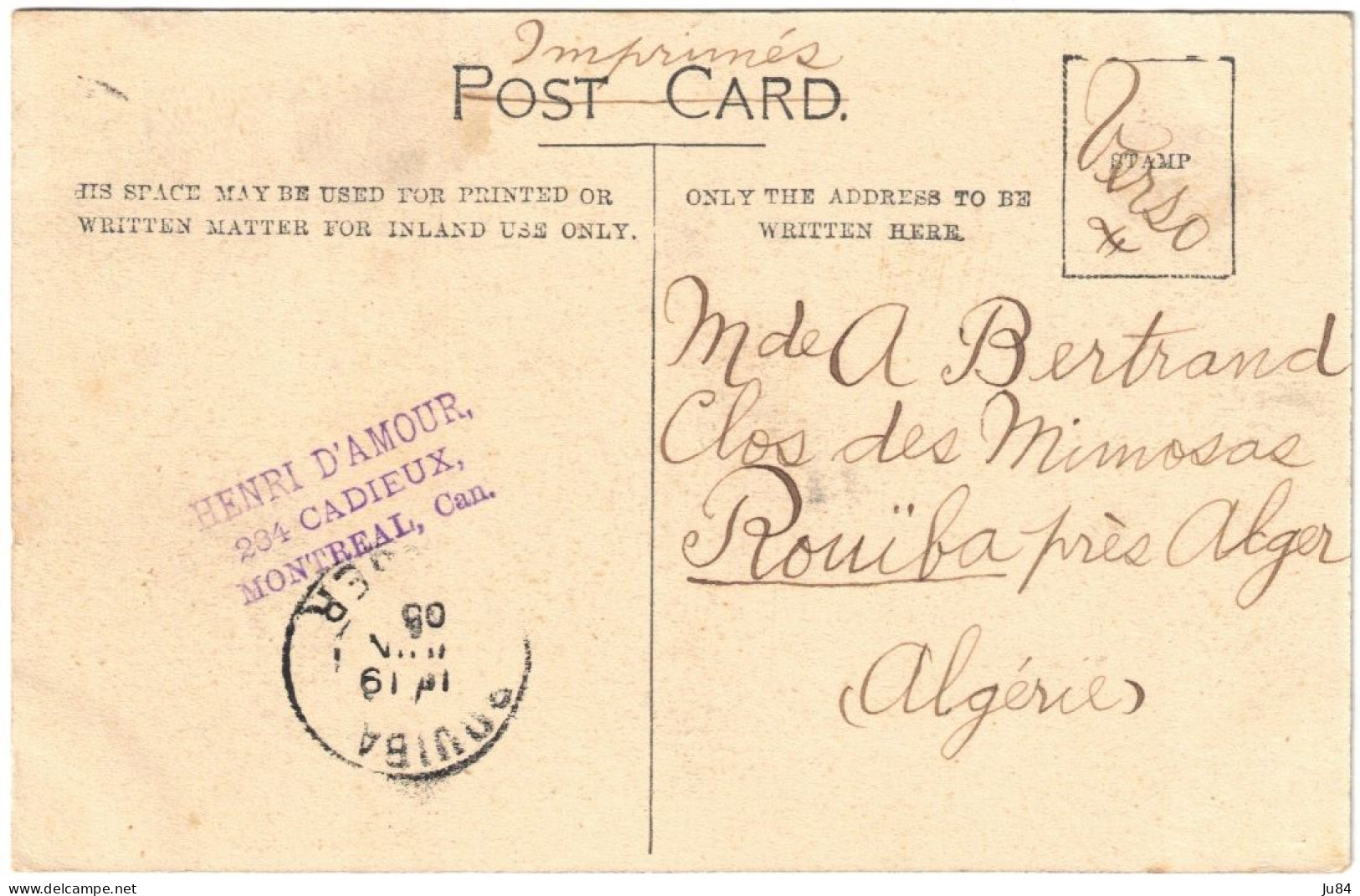 Canada - Québec - Montreal - In Mount Royal Park - Carte Postale Pour Rouïba (Algérie) - Juin 1905 - Storia Postale