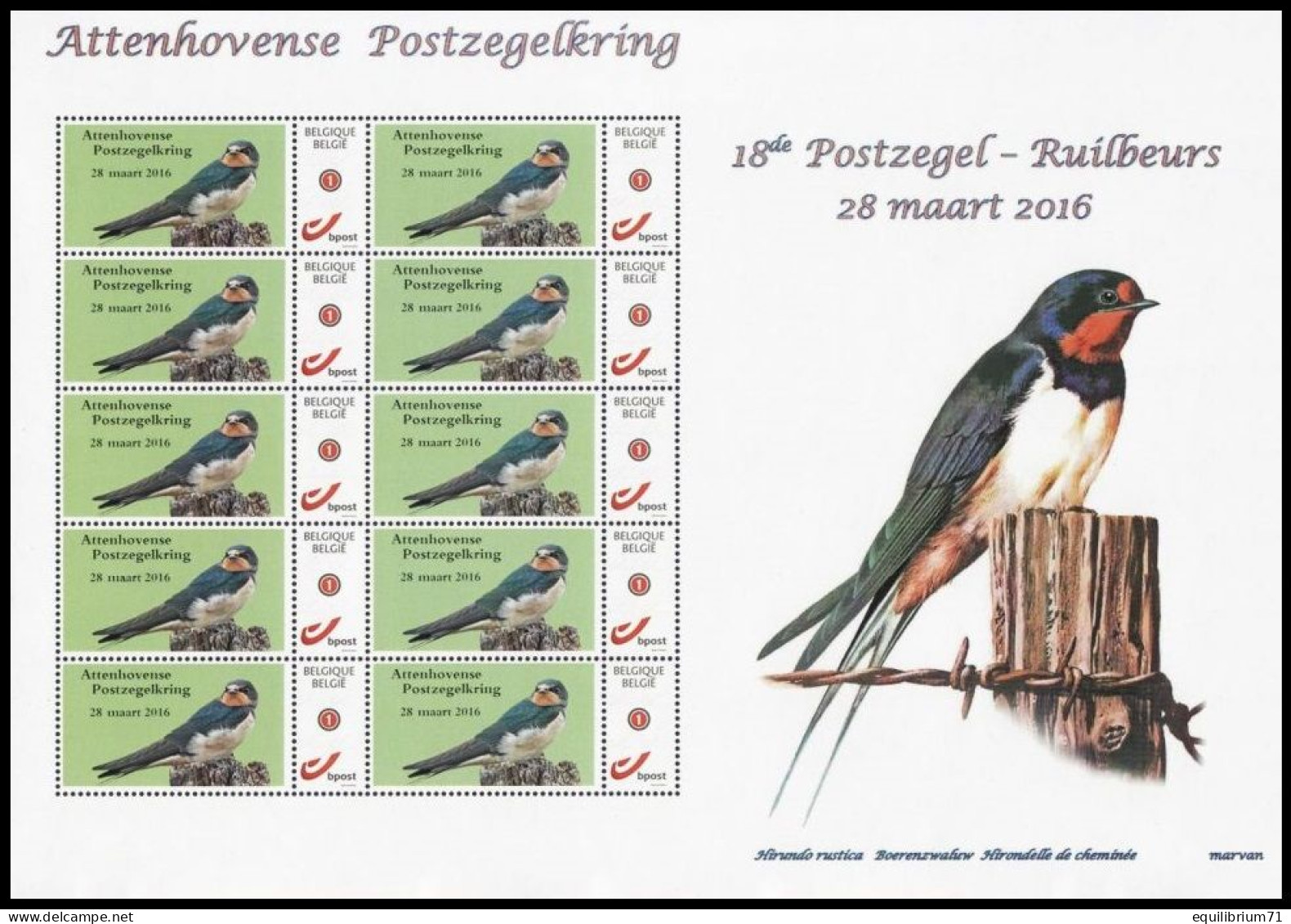 Mystamp/Duostamp** - Hirondelle De Cheminée / Boerenzwaluw / Rauchschwalbe / Hirundo Rustica - Attenhovense Kring - RRR - Hirondelles