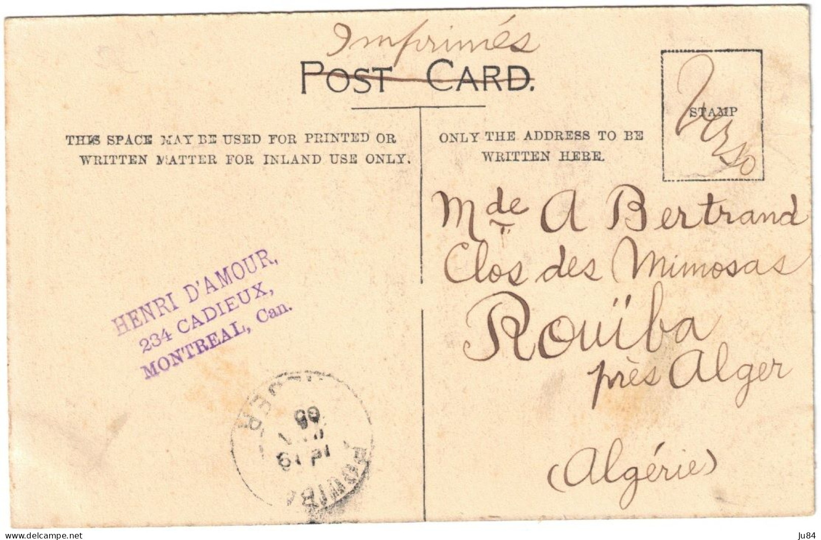 Canada - Québec - Montreal - A Bit Of The Mountain - Carte Postale Pour Rouïba (Algérie) - 1905 - Storia Postale