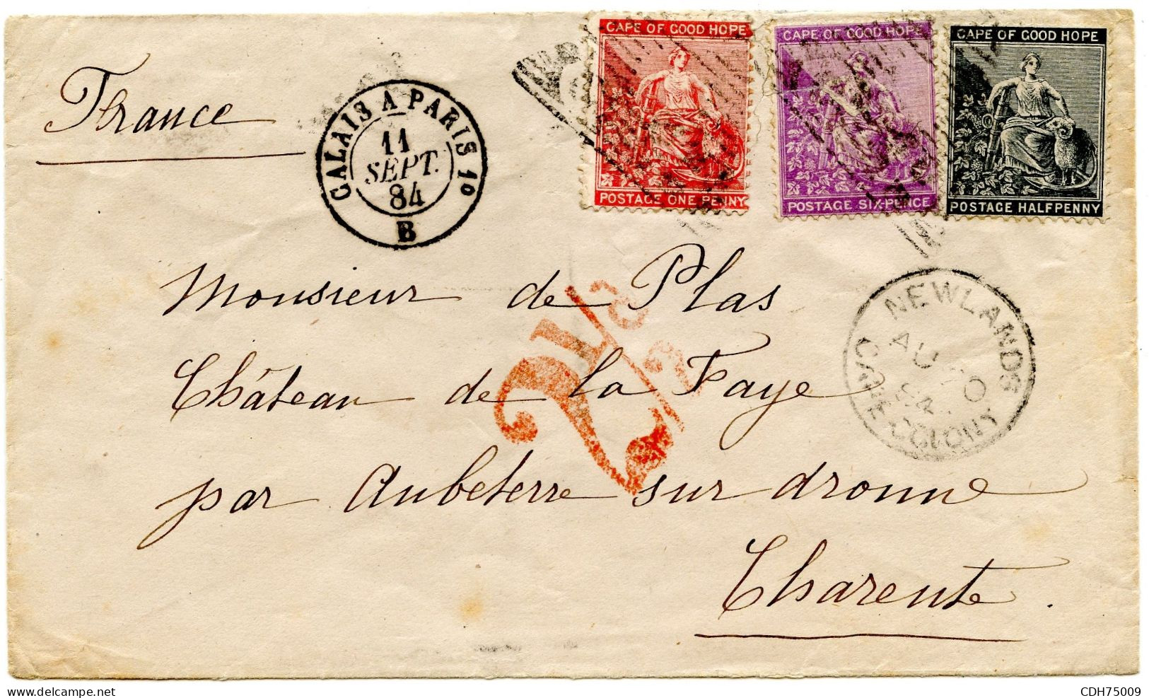 CAP DE BONNE ESPERANCE - LETTRE DE NEWLANDS POUR LA FRANCE, 1884 - Cap De Bonne Espérance (1853-1904)