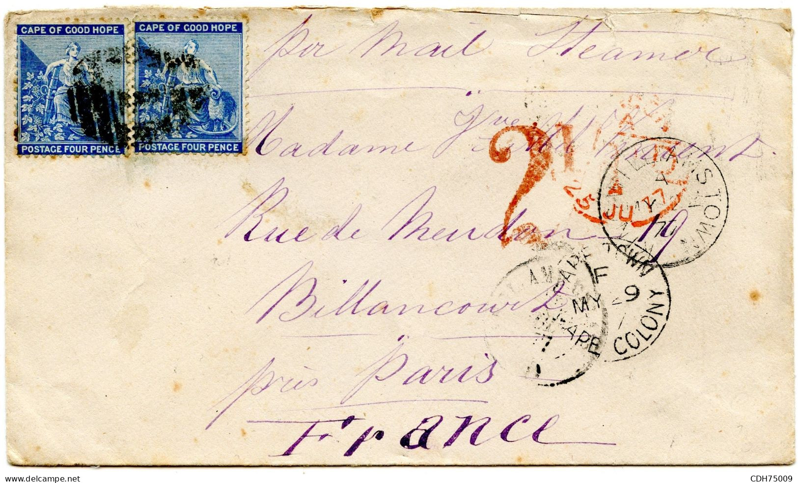 CAP DE BONNE ESPERANCE - LETTRE DE WILLAMTOWN POUR LA FRANCE, 1877 - Kap Der Guten Hoffnung (1853-1904)