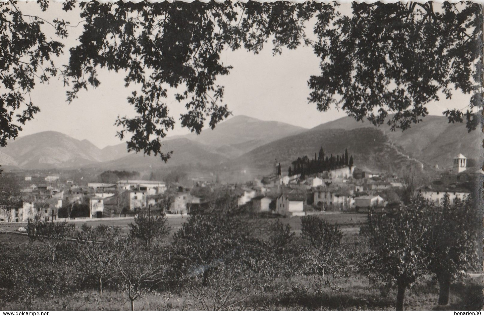 CPSM 84 MALAUCENE   VUE GENERALE   LE MONT-VENTOUX PETIT FORMAT - Malaucene